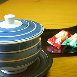 https://kaneyoshi-ryokan.hotels-osaka.net